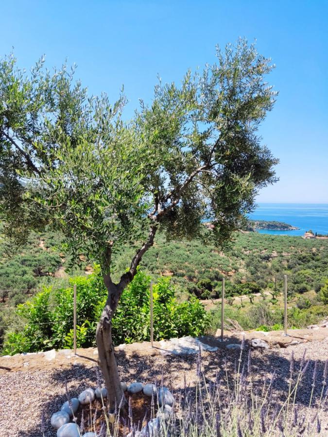 Athina'S Stone House In Kardamyli Villa Kültér fotó