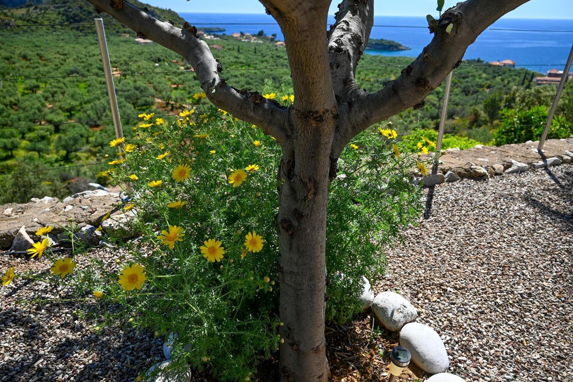 Athina'S Stone House In Kardamyli Villa Kültér fotó