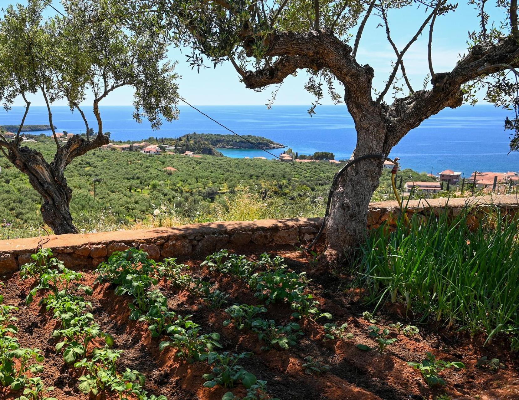 Athina'S Stone House In Kardamyli Villa Kültér fotó