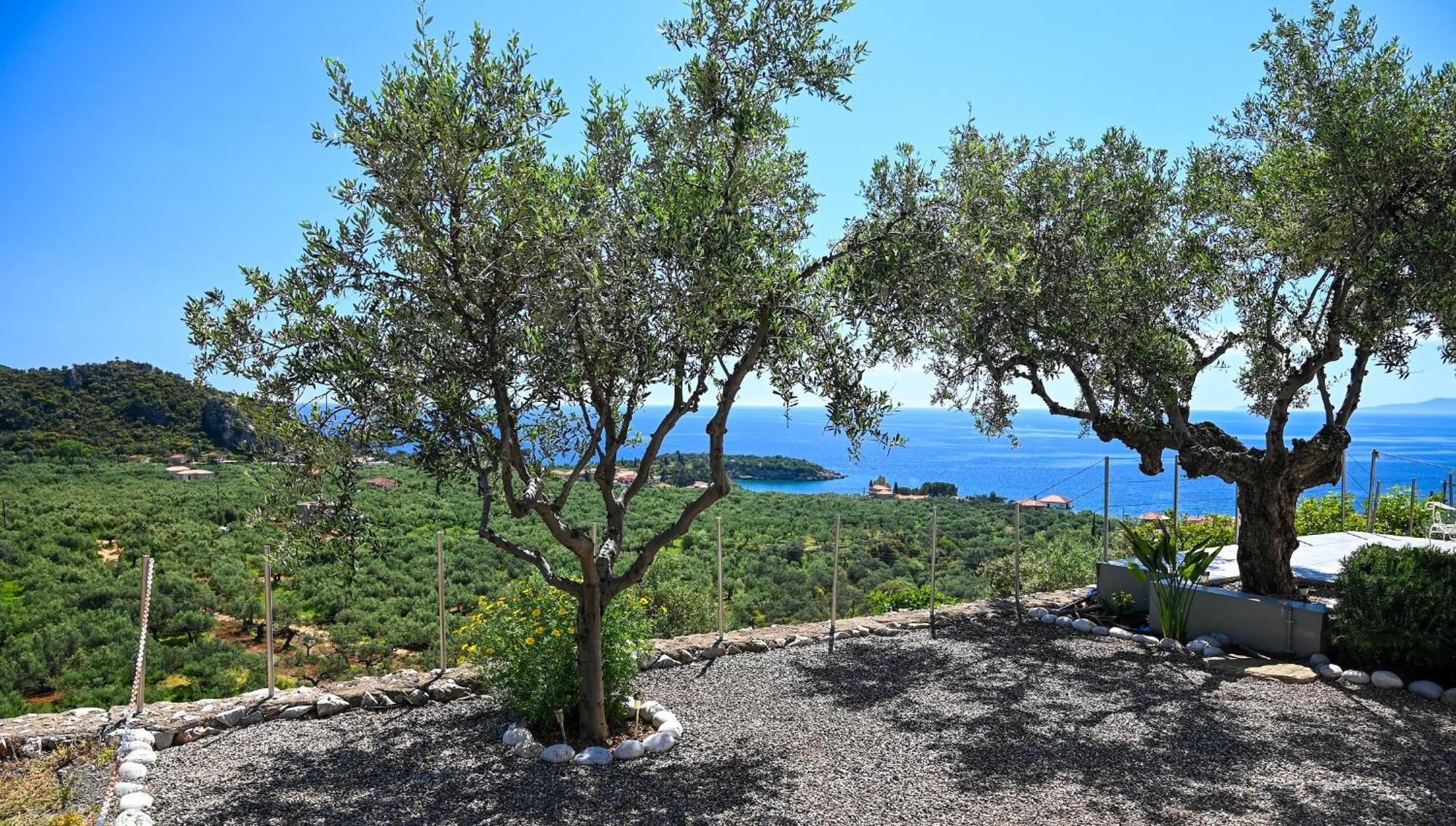 Athina'S Stone House In Kardamyli Villa Kültér fotó
