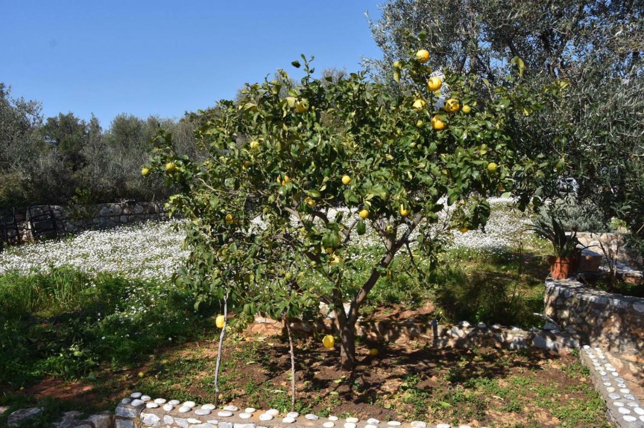 Athina'S Stone House In Kardamyli Villa Kültér fotó